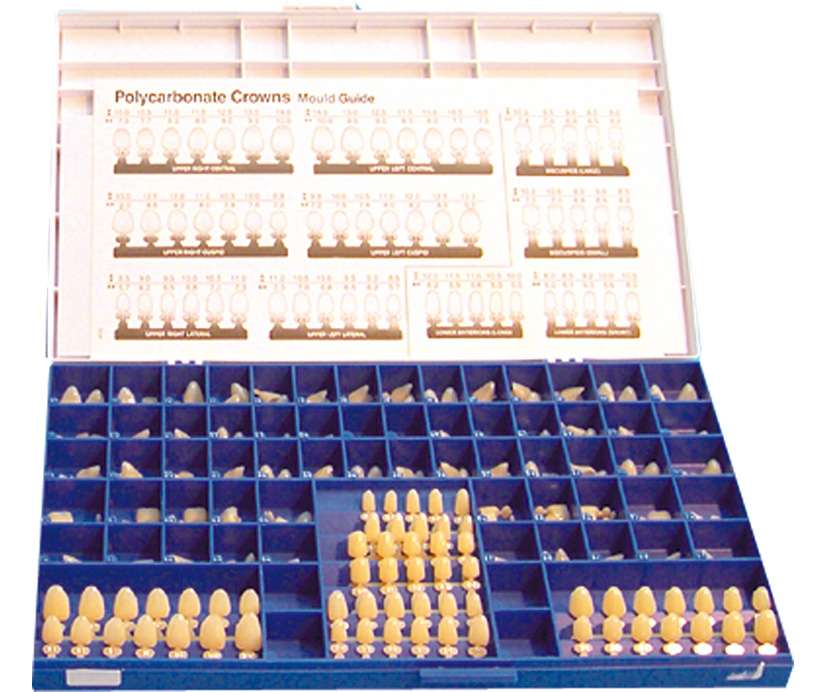 CORONE POLICARBONATO DENTORAMA 5pz