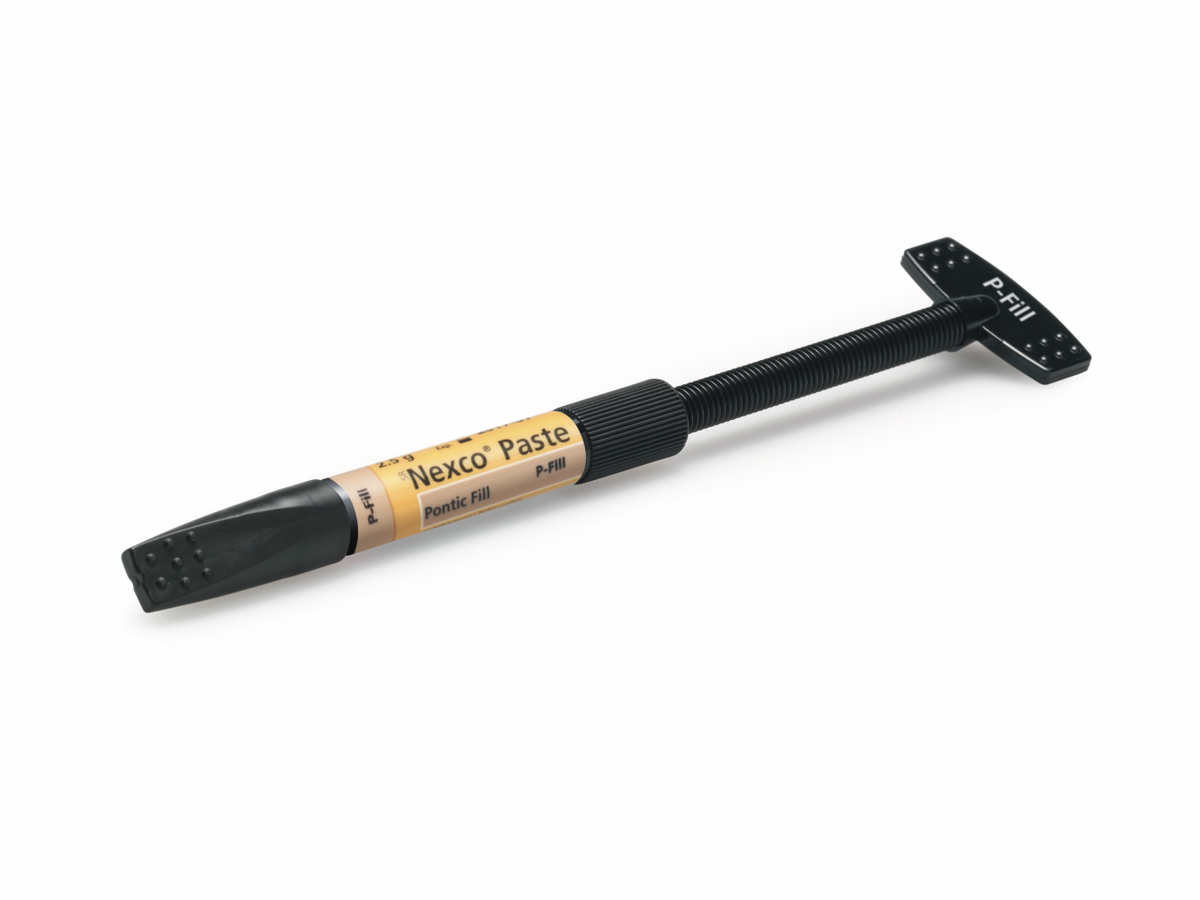 SR NEXCO PASTE PONTIC FILL 2,5gr
