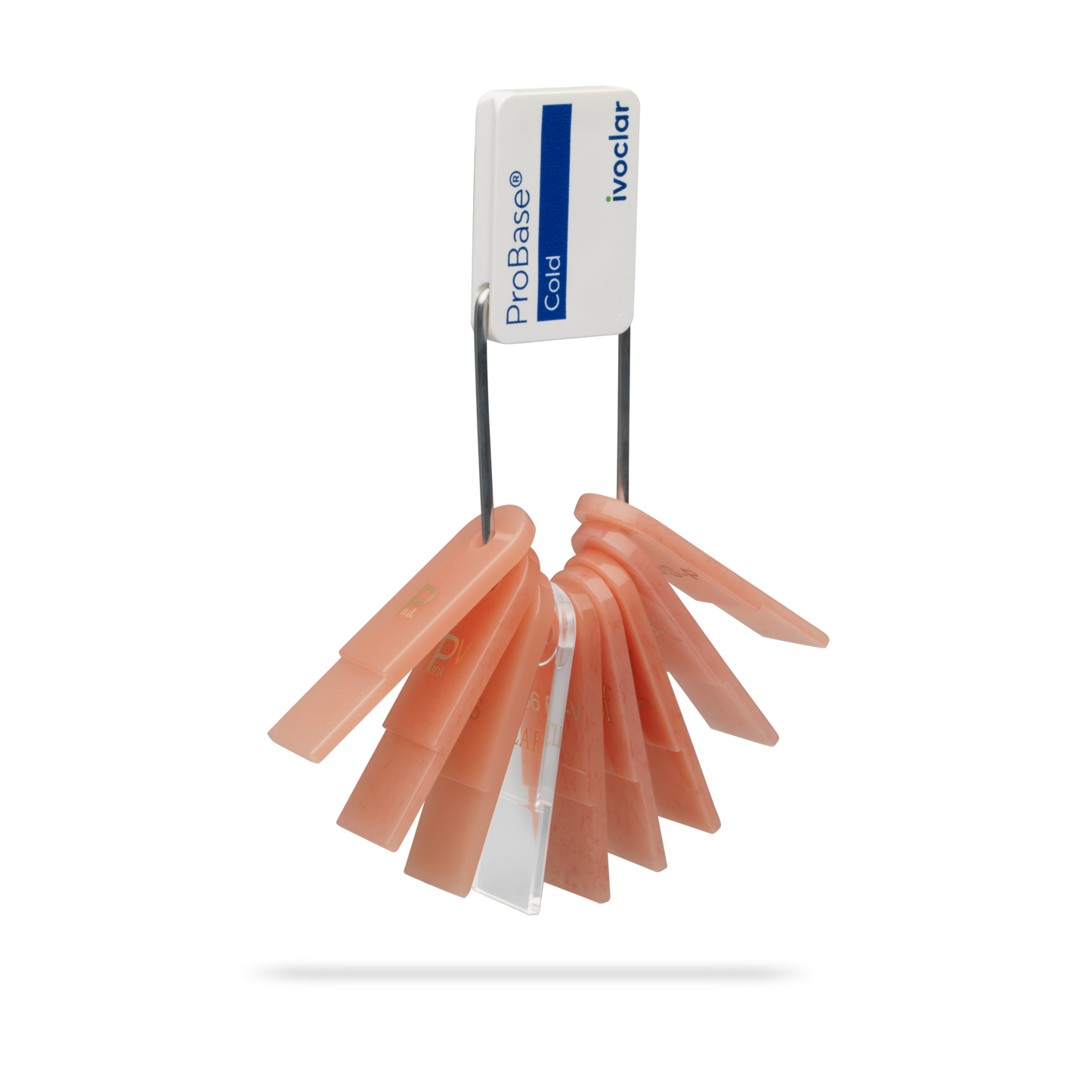 SCALA COLORI PROBASE HOT/COLD IVOCLAR