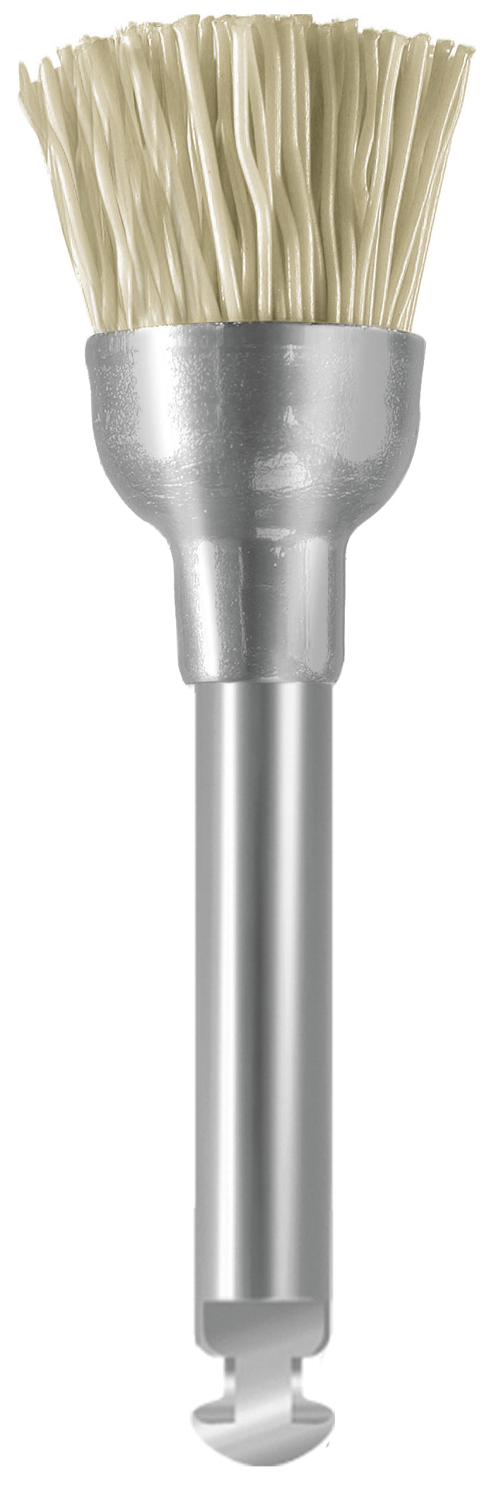 EVE EVEBRUSH 10pz