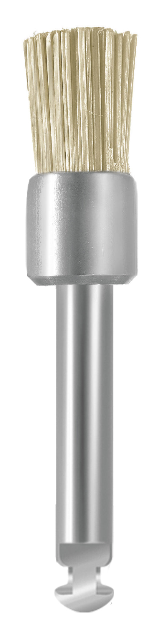 EVE EVEBRUSH 10pz