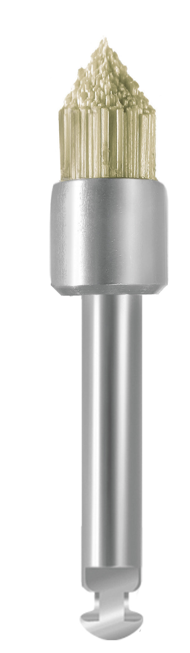 EVE EVEBRUSH 10pz