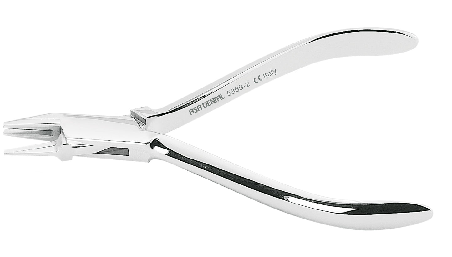 PINZA ADERER STANDARD 5869-2 1pz