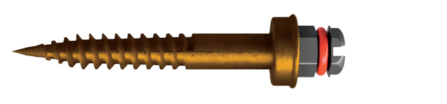 MINIVITE ORTODONTICA STORM GOLD LANCER 1pz
