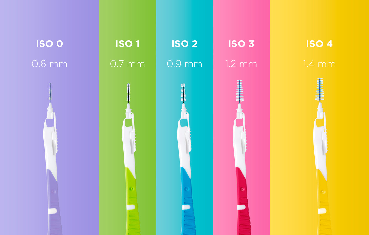 SCOVOLINI BI-DIRECTION GUM 36pz
