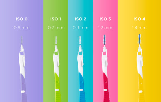 SCOVOLINI BI-DIRECTION GUM 36pz